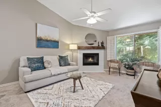 Photo #1: 223063965 Listing 