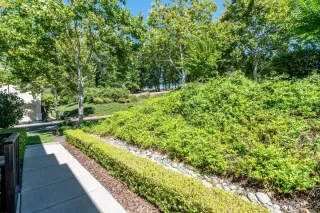 Photo #5: 223064155 Listing