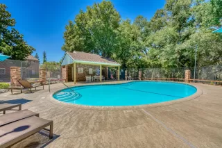 Photo #2: 223064840 Listing