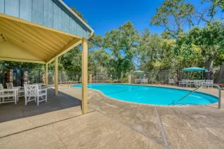 Photo #3: 223064840 Listing