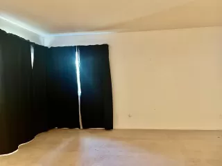 Photo #1: 223065454 Listing 