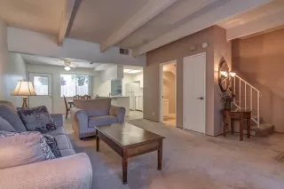 Photo #3: 223065511 Listing 