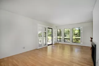 Photo #1: 223065558 Listing