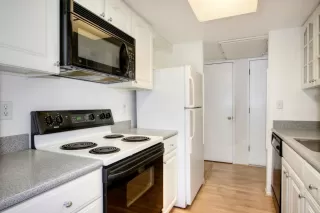 Photo #3: 223065558 Listing