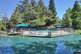 Photo #6: 223065558 Listing