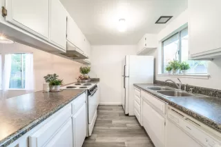 Photo #2: 223065745 Listing