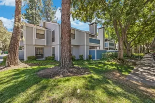 Photo #4: 223065812 Listing