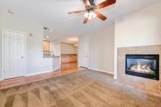 Photo #5: 223065965 Listing