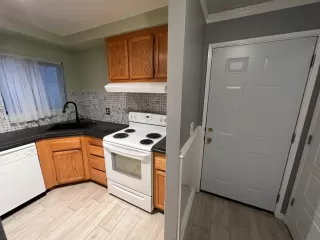 Photo #1: 223066067 Listing 