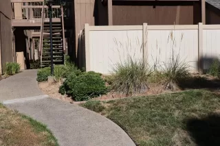 Photo #3: 223066990 Listing 