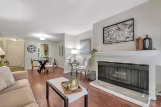 Photo #1: 223068101 Listing