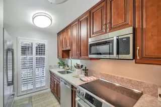 Photo #2: 223068101 Listing