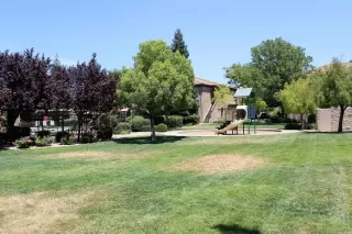 Photo #1: 223068189 Listing