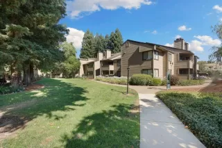 Photo #1: 223068413 Listing 