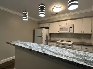 Photo #4: 223068849 Listing