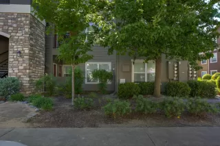 Photo #4: 223071157 Listing