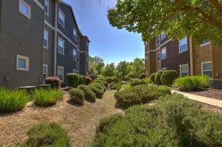 Photo #5: 223071157 Listing