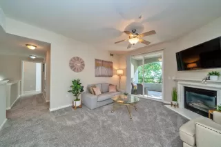 Photo #4: 223071162 Listing