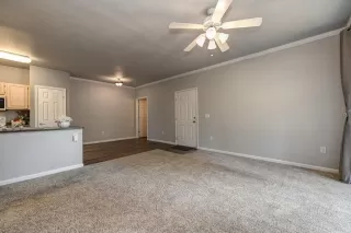 Photo #5: 223072273 Listing