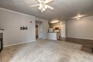 Photo #6: 223072273 Listing