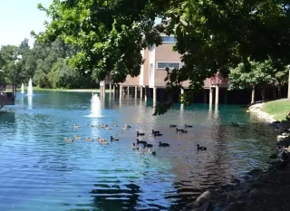 Photo #1: 223072476 Listing