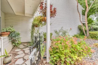 Photo #3: 223072605 Listing 