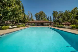 Photo #6: 223073103 Listing 