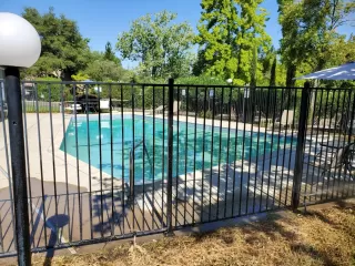 Photo #1: 223073633 Listing