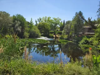 Photo #2: 223073633 Listing