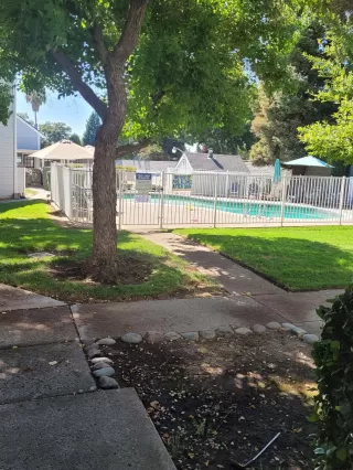 Photo #5: 223073868 Listing