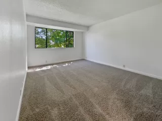 Photo #4: 223074048 Listing