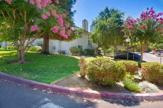 Photo #2: 223074117 Listing