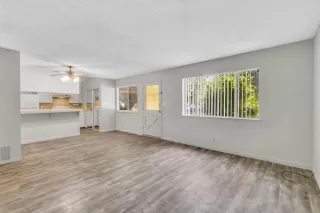 Photo #2: 223074888 Listing