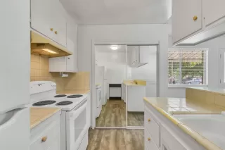 Photo #4: 223074888 Listing