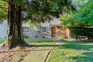 Photo #2: 223075127 Listing