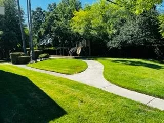 Photo #4: 223075176 Listing