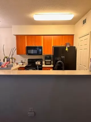 Photo #2: 223076356 Listing