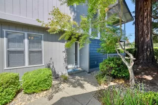 Photo #1: 223076728 Listing 