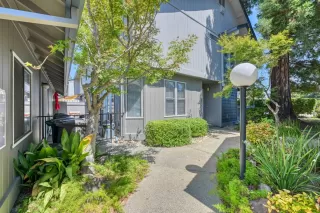 Photo #3: 223076728 Listing 