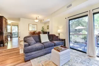 Photo #5: 223078622 Listing