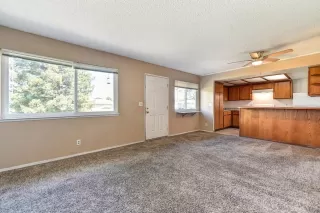 Photo #4: 223078894 Listing 