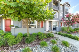 Photo #1: 223078904 Listing 