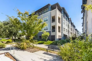 Photo #1: 223079644 Listing 