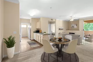 Photo #1: 223080377 Listing 