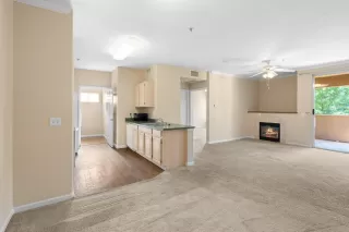 Photo #2: 223080377 Listing 