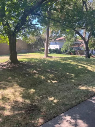 Photo #3: 223080676 Listing 