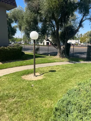 Photo #2: 223080678 Listing