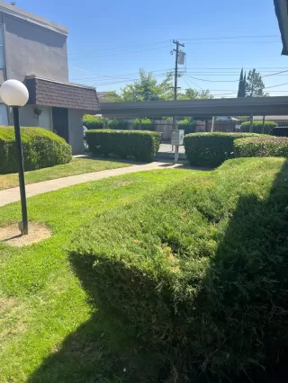 Photo #3: 223080678 Listing