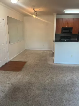 Photo #5: 223080682 Listing