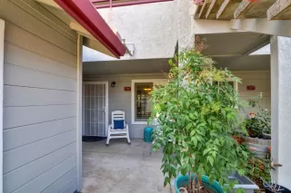 Photo #2: 223081117 Listing 